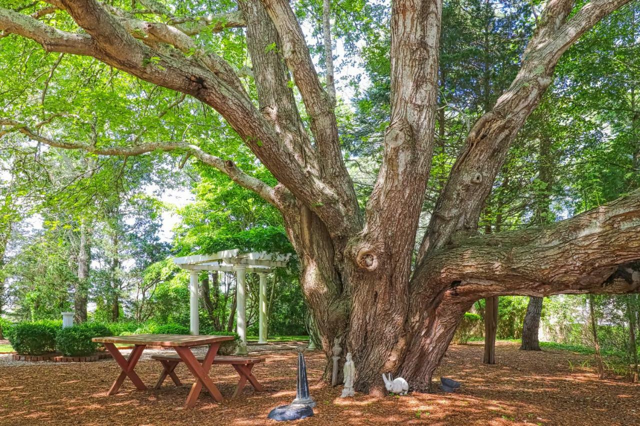 Villa Lily Hill Vineyard Haven Exterior foto